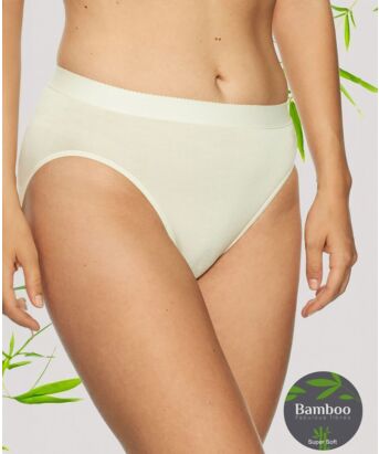 Lady Avenue Bamboo Classic Brief