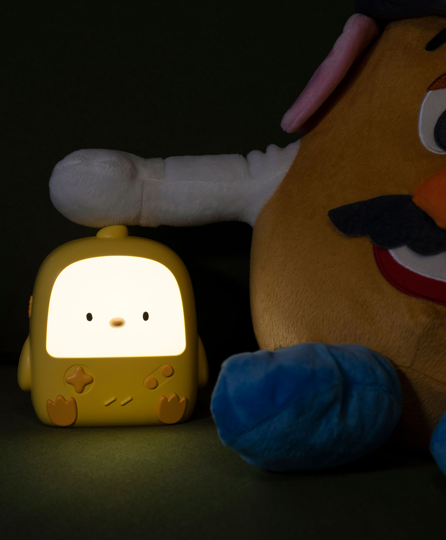 Mary`s Led Chicken Lamp