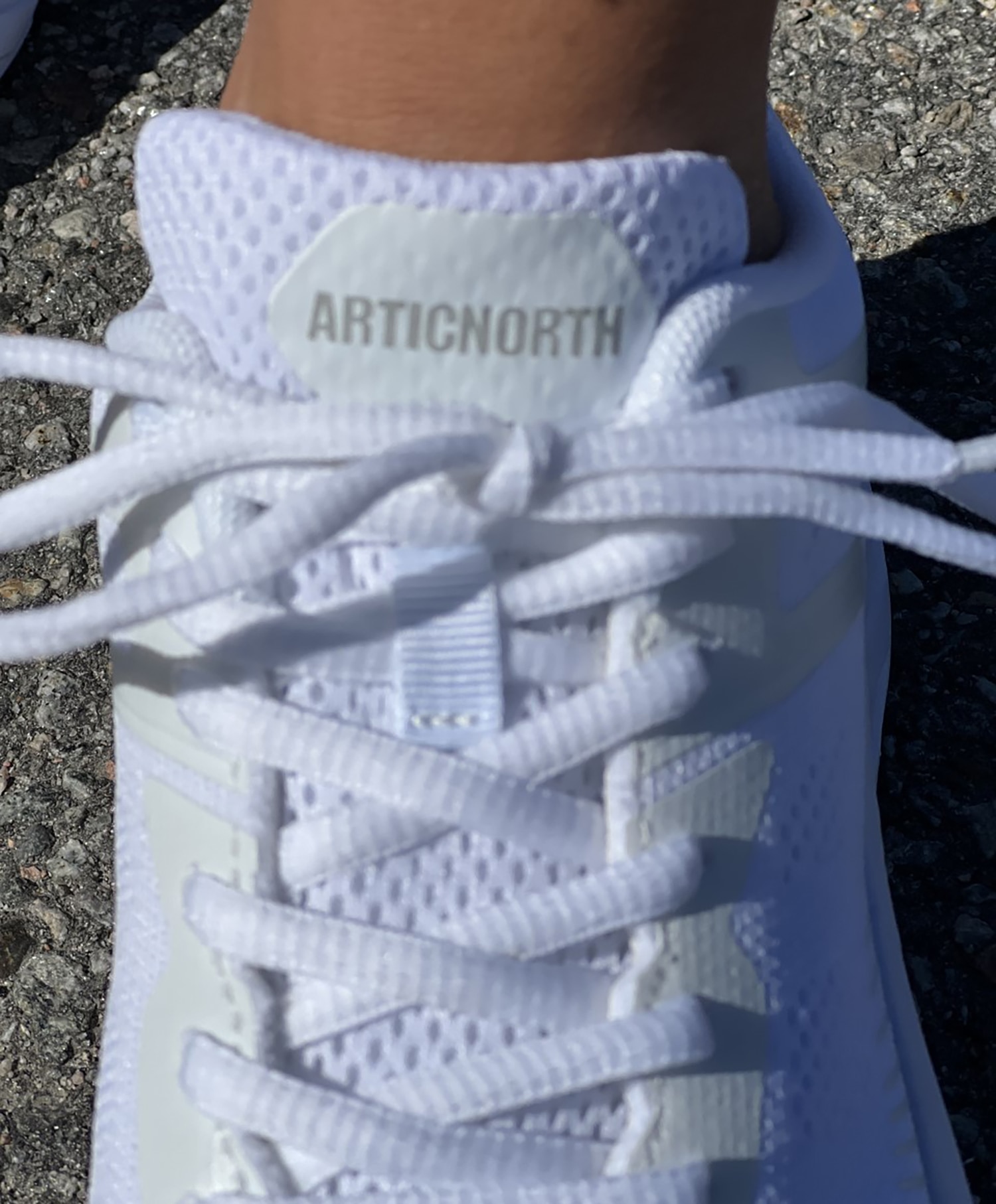 Artic North Sneaker