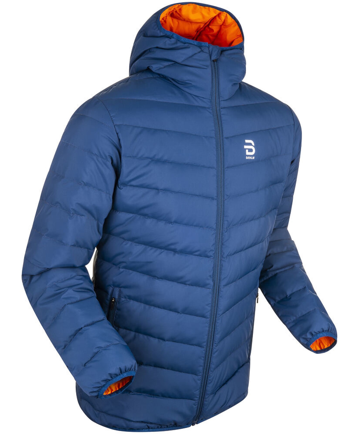 Bjørn Dæhlie Jacket Finder Herre