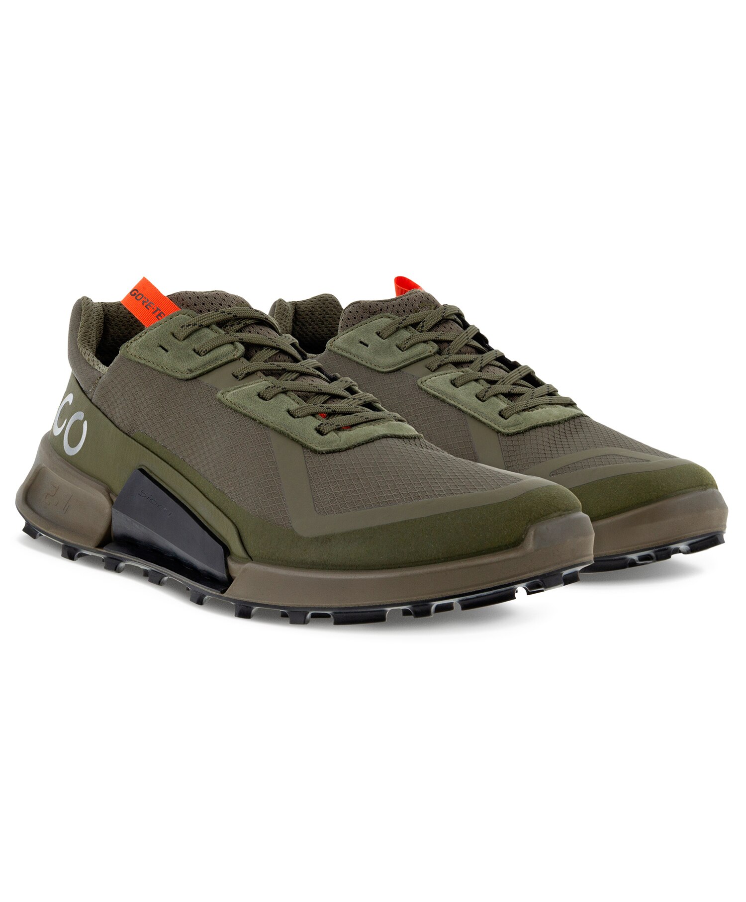 ECCO BIOM LOW GTX