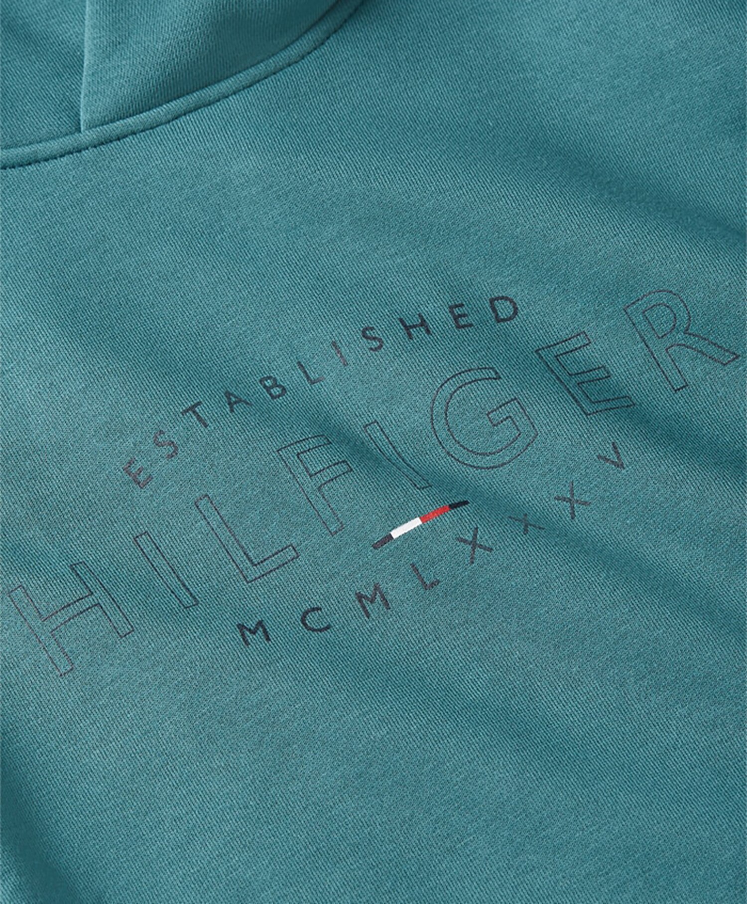 Hilfiger Curve Logo Hettegenser