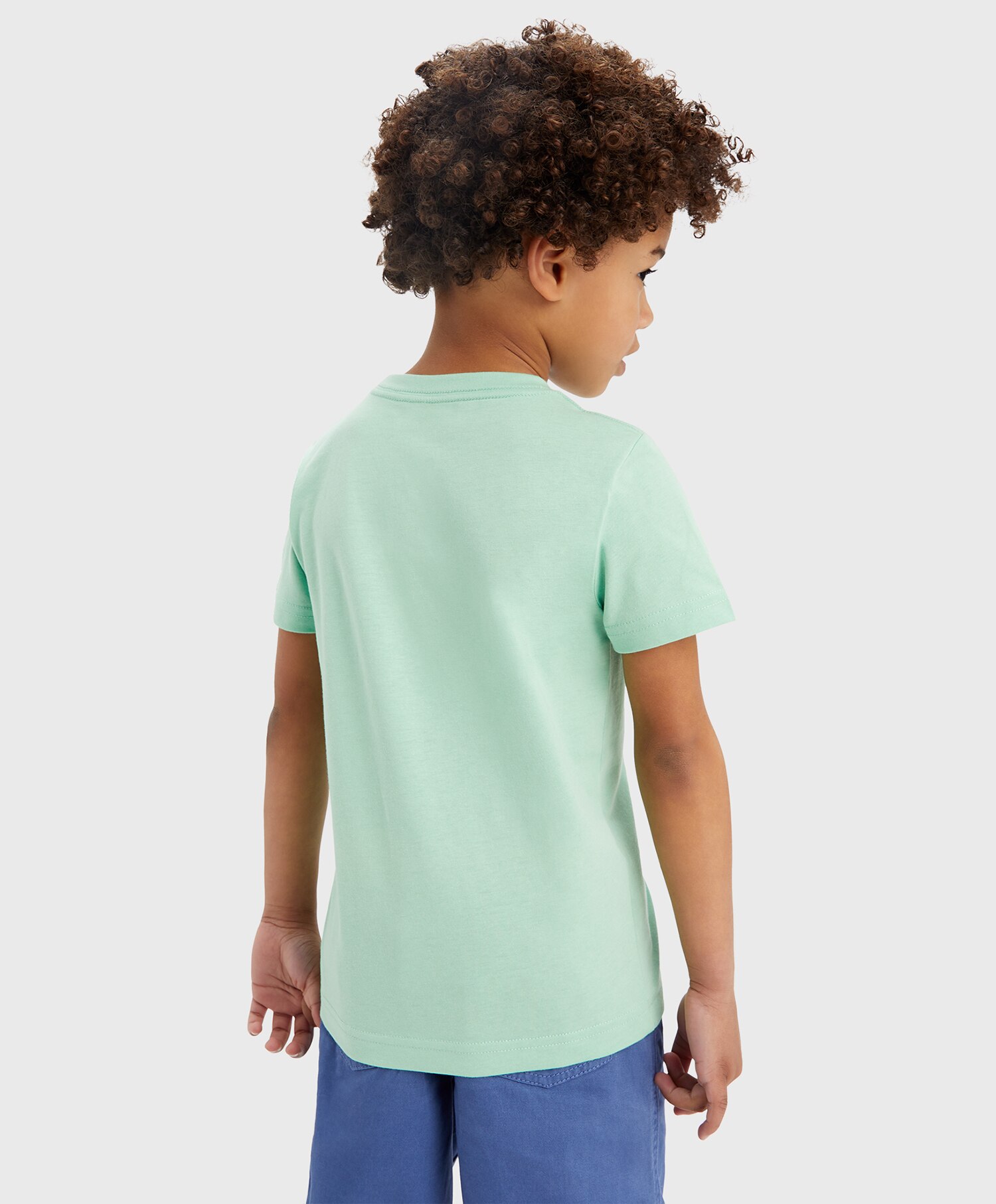 Levi's Batwing t-skjorte