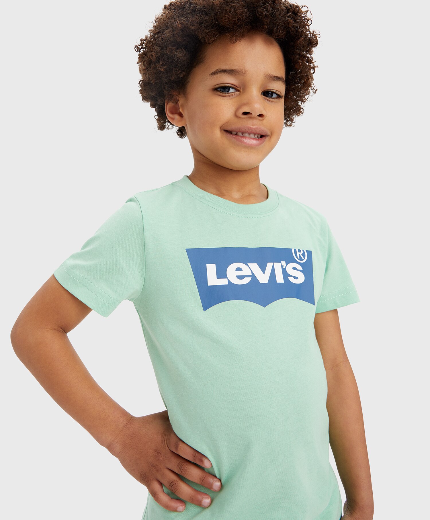 Levi's Batwing t-skjorte