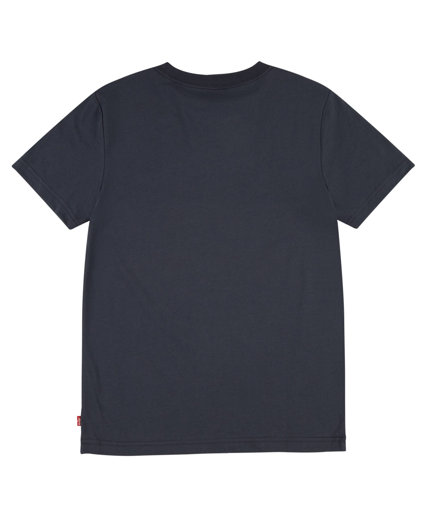 Levi's Distressed Batwing Tee
