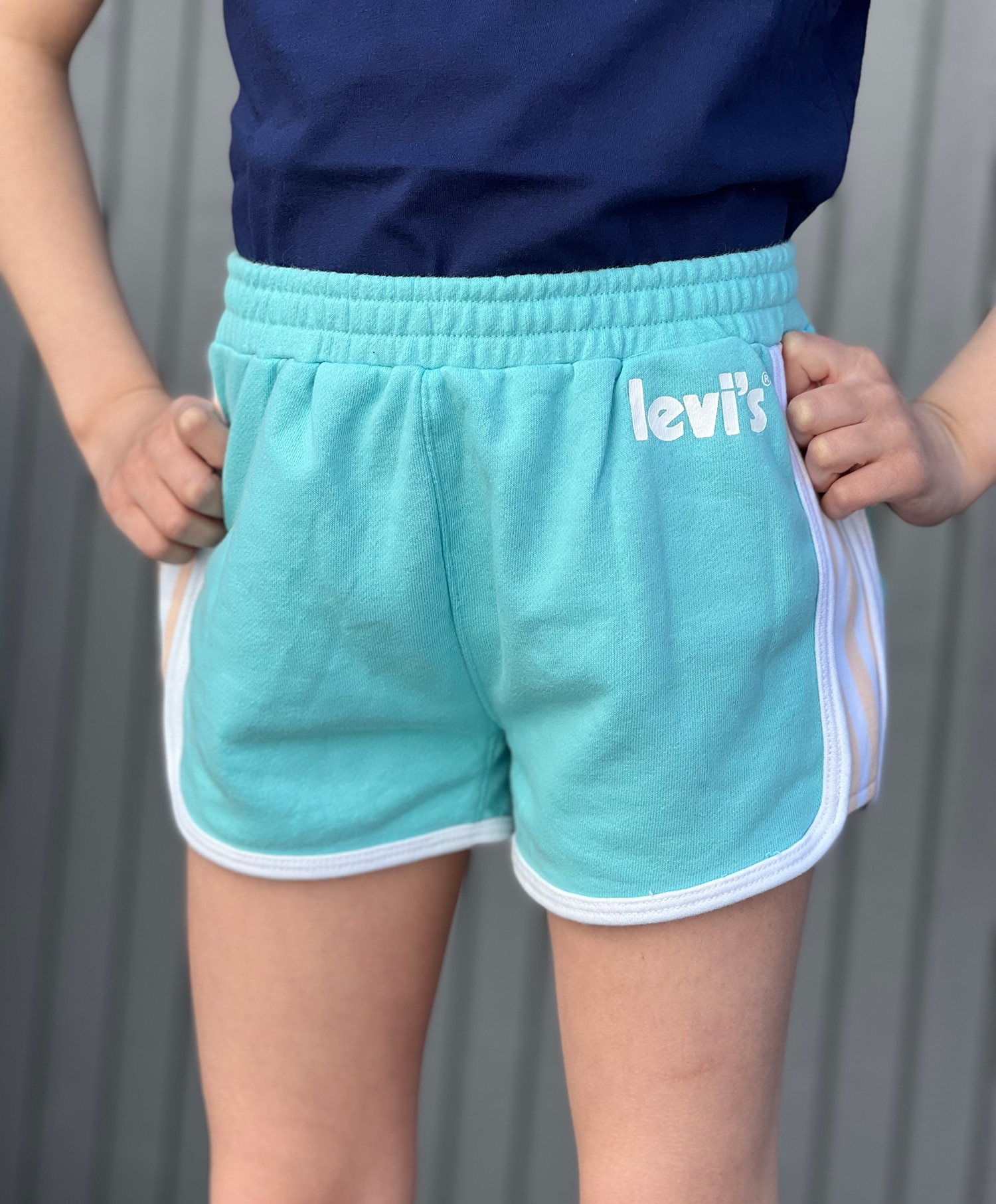 Levi's  French Terry Shorts