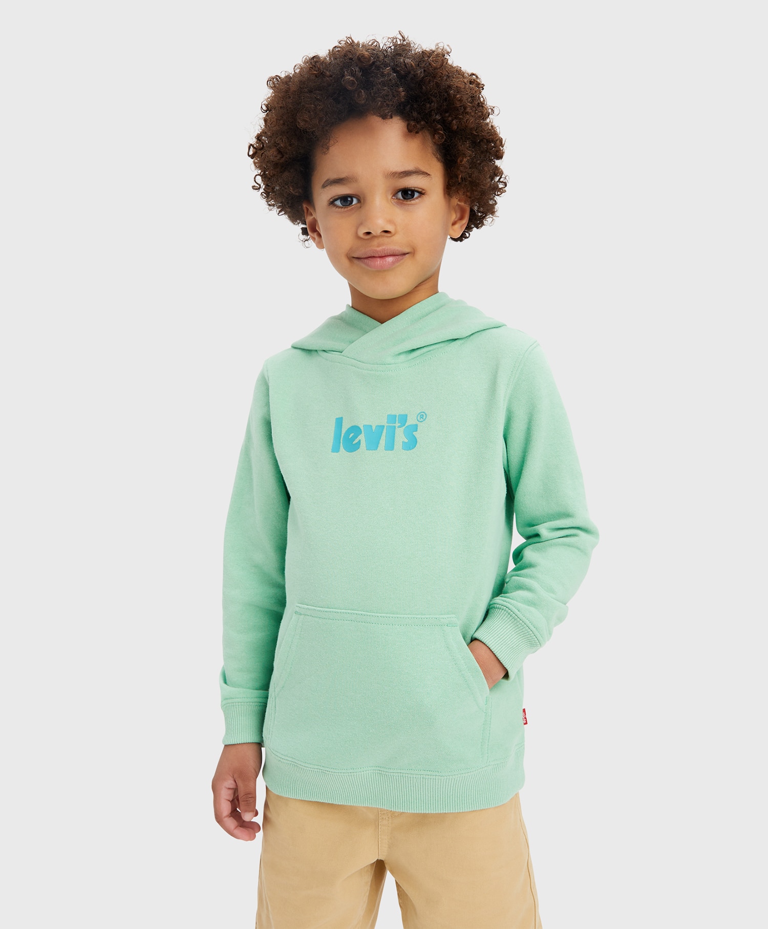 Levi's Pullover Hoodie