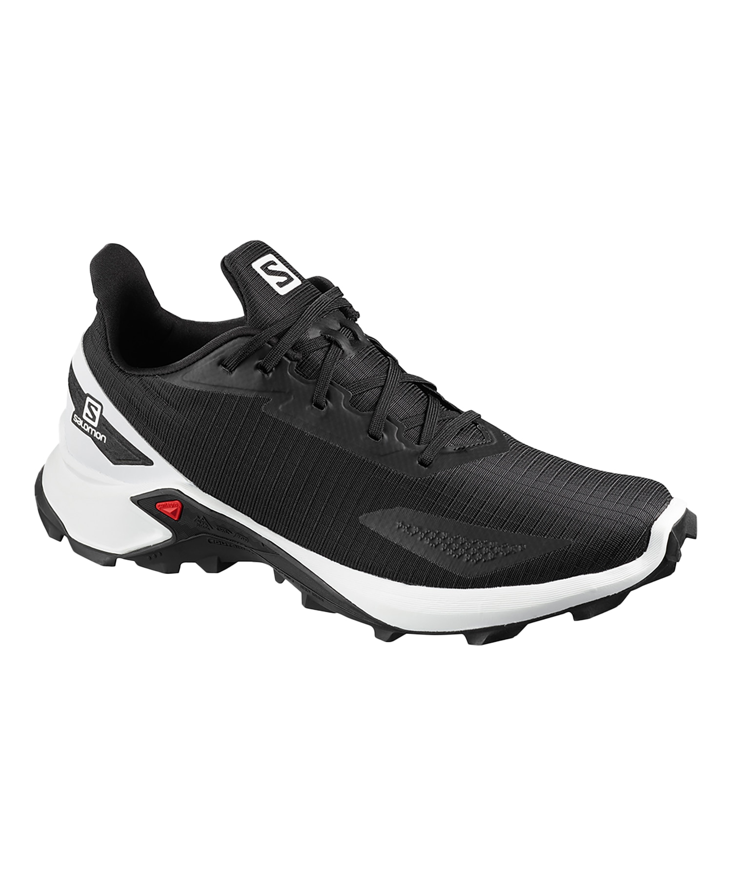 Salomon Alphacross Blast Sko