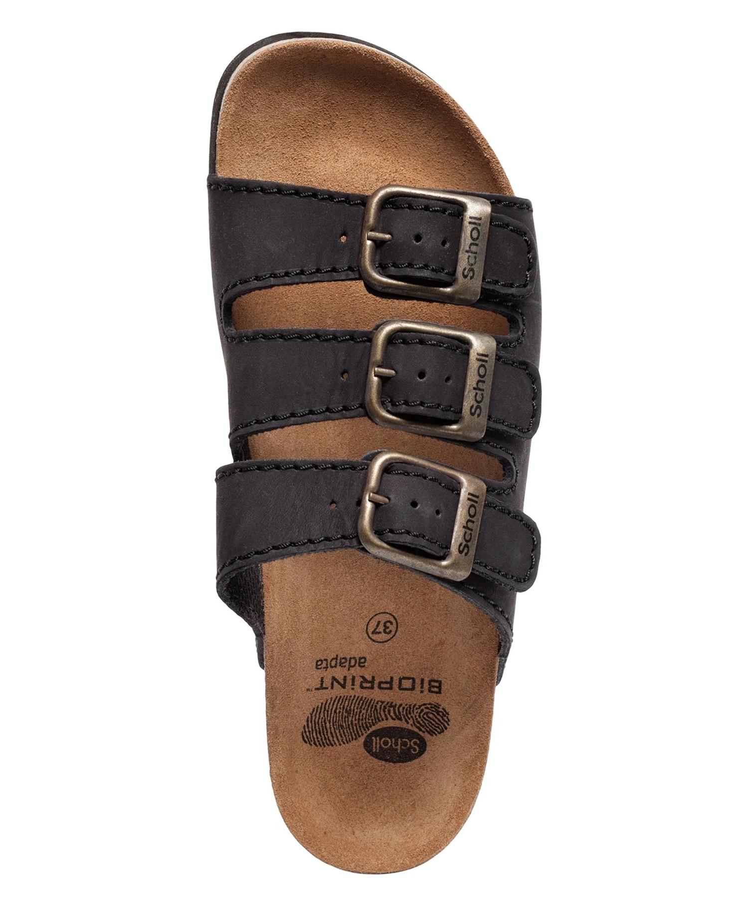 Scholl Rio