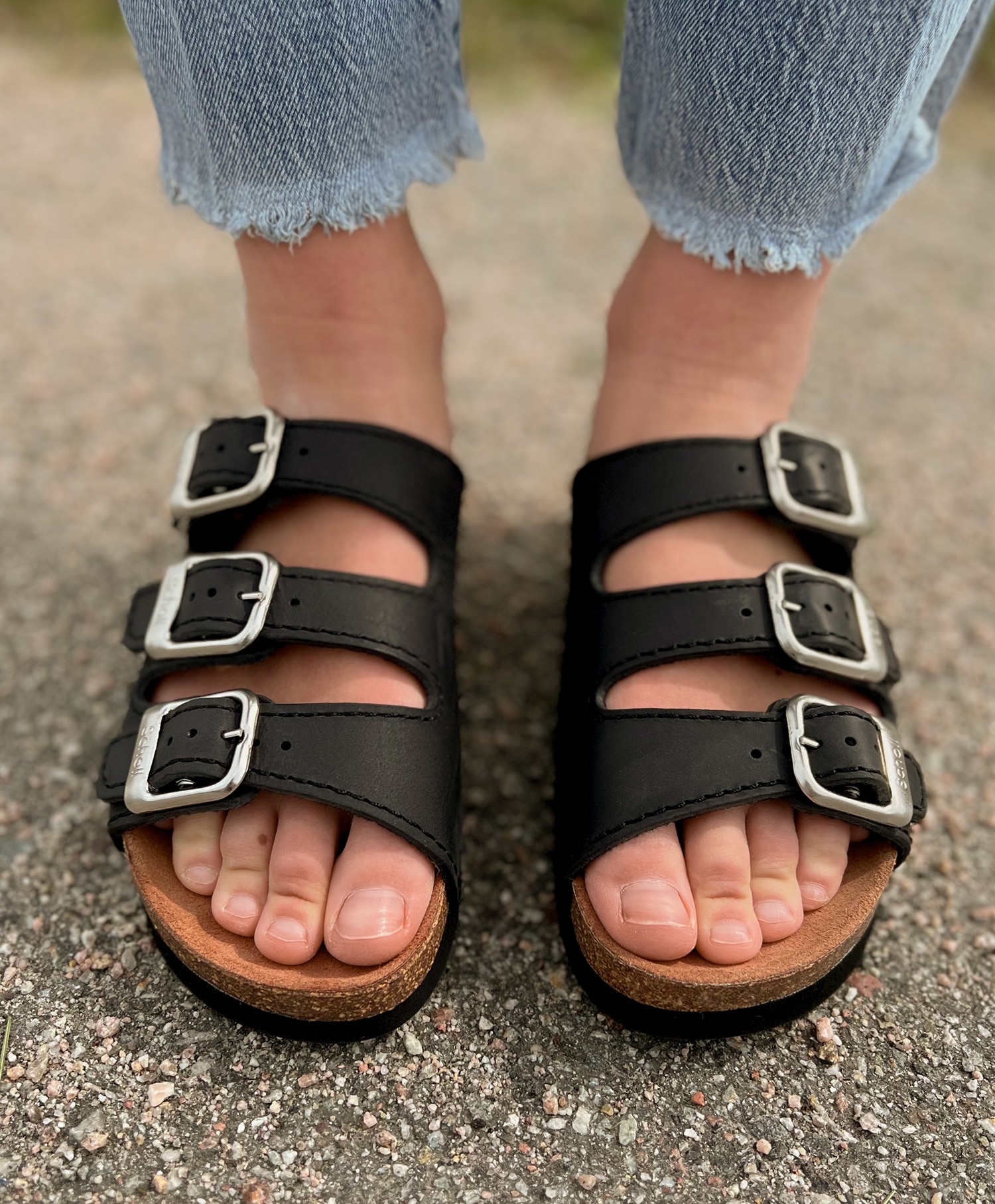 Scholl Rio