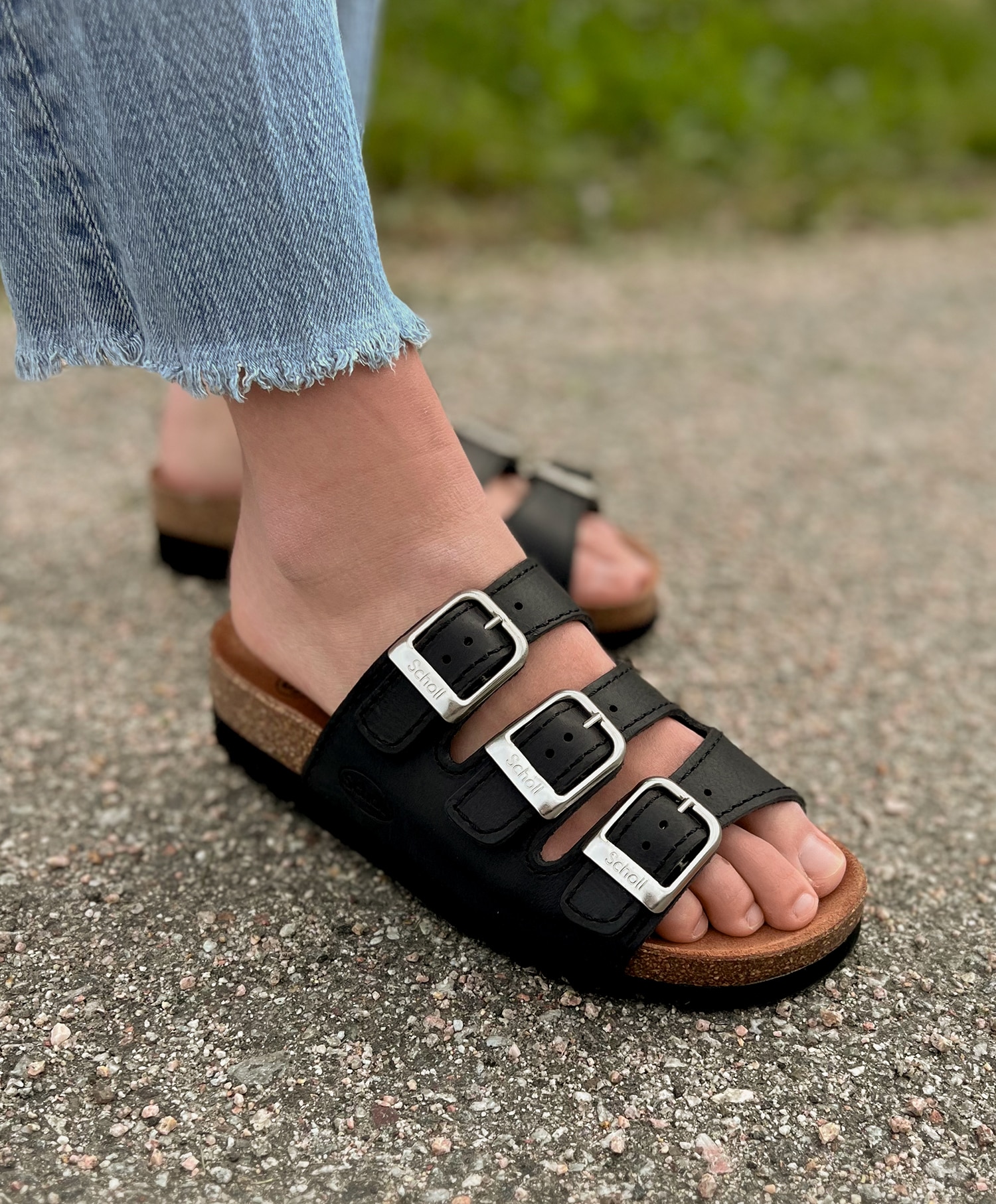 Scholl Rio