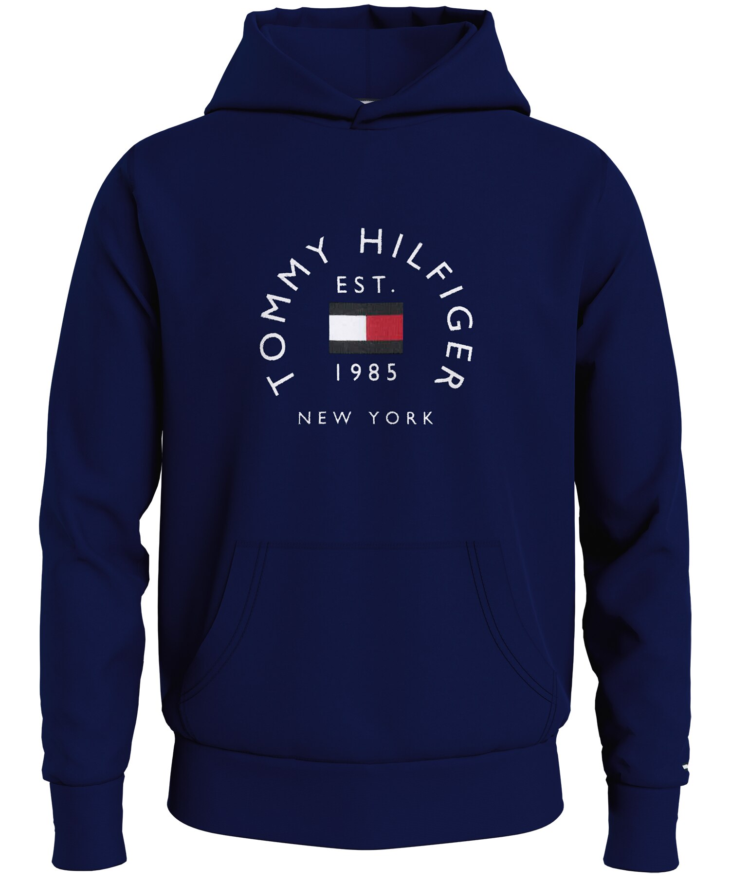 Tommy Flag Arch Hoody