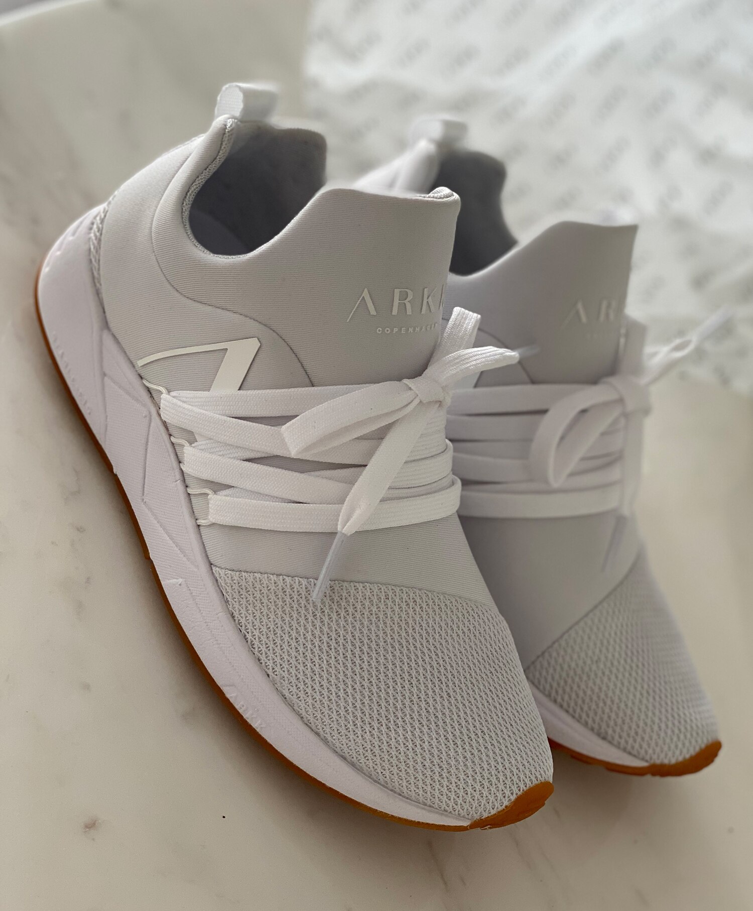 ARKK Raven Mesh